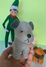 Perrito Sorpresa